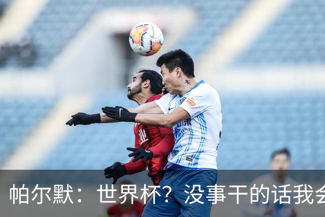 帕尔默：世界杯？没事干的话我会看看，我希望他们能走到最后